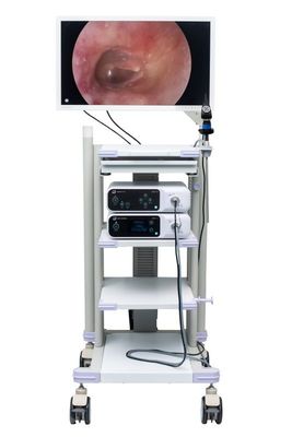 Sistem Kamera Medis HDMI Full HD Endoscope Tower DJSXJ-IIa