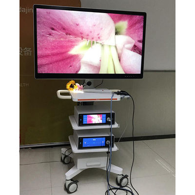 Kamera Monitor Endoskopi Medis Dengan Layar 55 inci