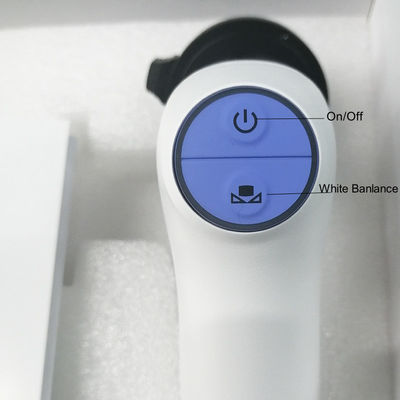 Hewan Wifi Transfer Waktu Nyata Sistem Kamera Endoskopi Nirkabel Portabel